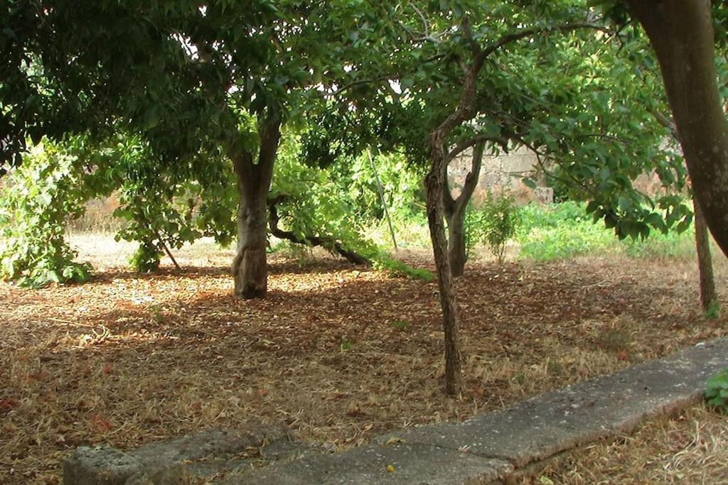 Villa Nel Salento - Ampie Camere E Giardino, Fino A 9 Persone Barbarano del Capo Exteriér fotografie